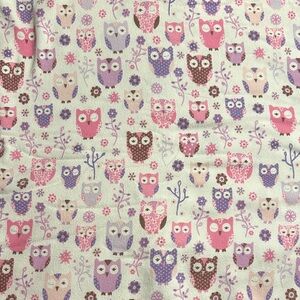 Pottery Barn Kids Owl Flannel Sheet Set